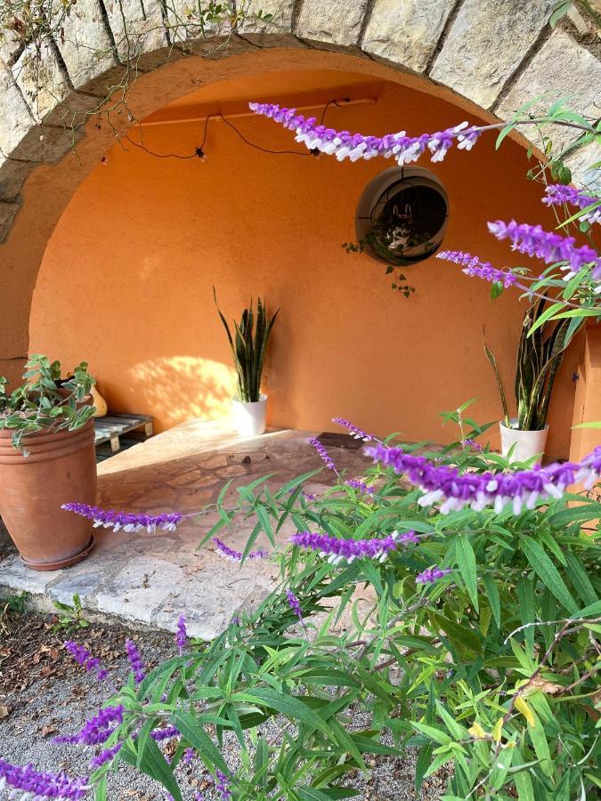 Bed and Breakfast Lou Candelou Grasse Exterior foto