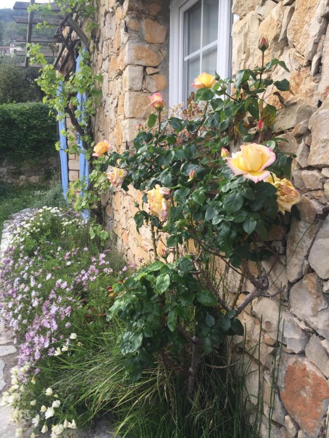 Bed and Breakfast Lou Candelou Grasse Exterior foto