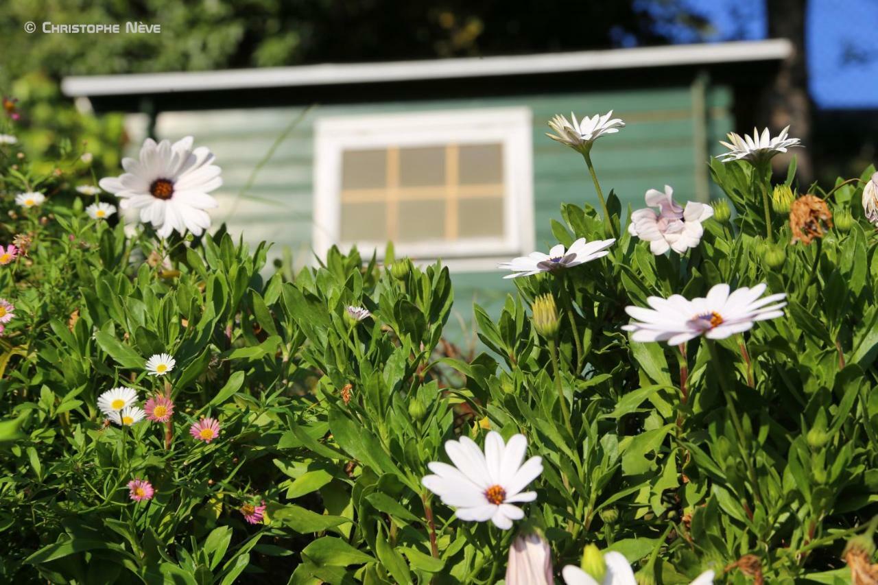 Bed and Breakfast Lou Candelou Grasse Exterior foto